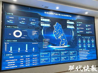 經略海洋看江蘇⑤ | 只此青綠，鹽城展現‘國際濕地、沿海綠城’魅力活力